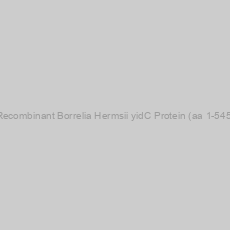Image of Recombinant Borrelia Hermsii yidC Protein (aa 1-545)